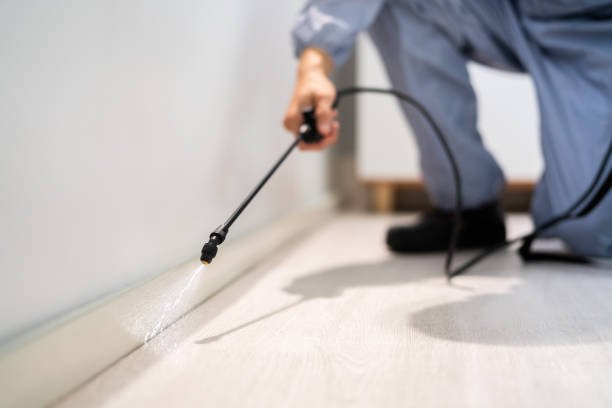 Licensed Termite Control service in Soquel, CA - Nex Pest Control