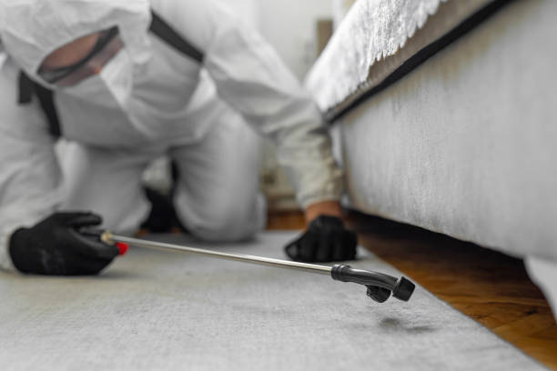 Professional Termite Control technician working in Soquel, CA