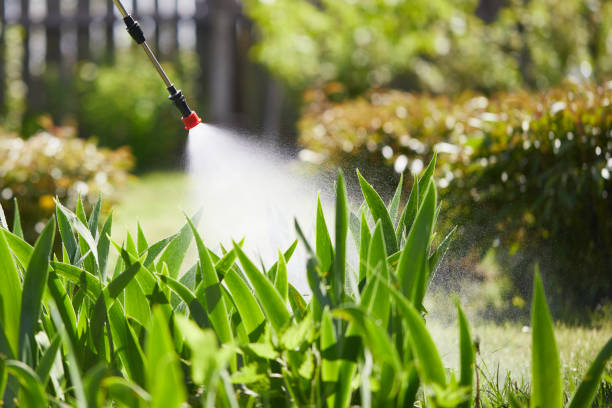 24/7 Emergency Termite Control experts in Soquel, CA