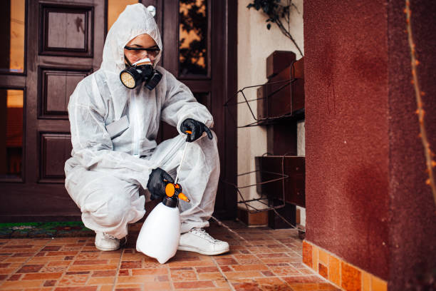 Reliable Termite Control contractor in Soquel, CA by Nex Pest Control